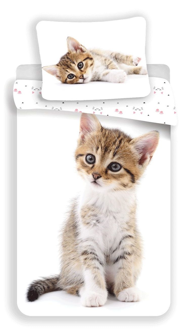 Bavlnené obliečky Kitten white s motívom roztomilého mačiatka, Jerry Fabrics