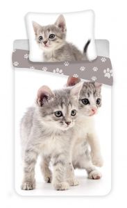 So zvieracím motívom kvalitné bavlnené obliečky fototlač Kitten grey, | 140x200, 70x90 cm
