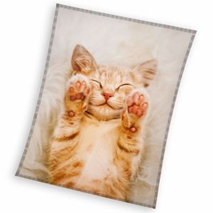 Detská fleecová deka Rusty Kitten | 130x170 cm
